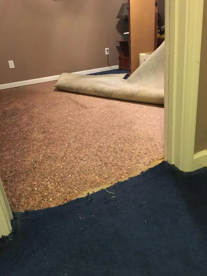 Carpet pad removal revealing water damage during Drying & Dehumidification in Marina del Rey