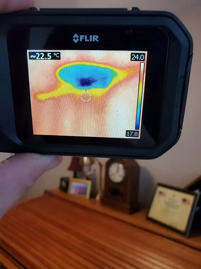 Thermal imaging inspection for water damage in Marina del Rey